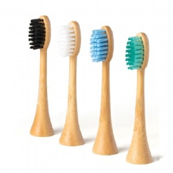 Bamboo brush head