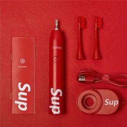 Electric toothbrush set